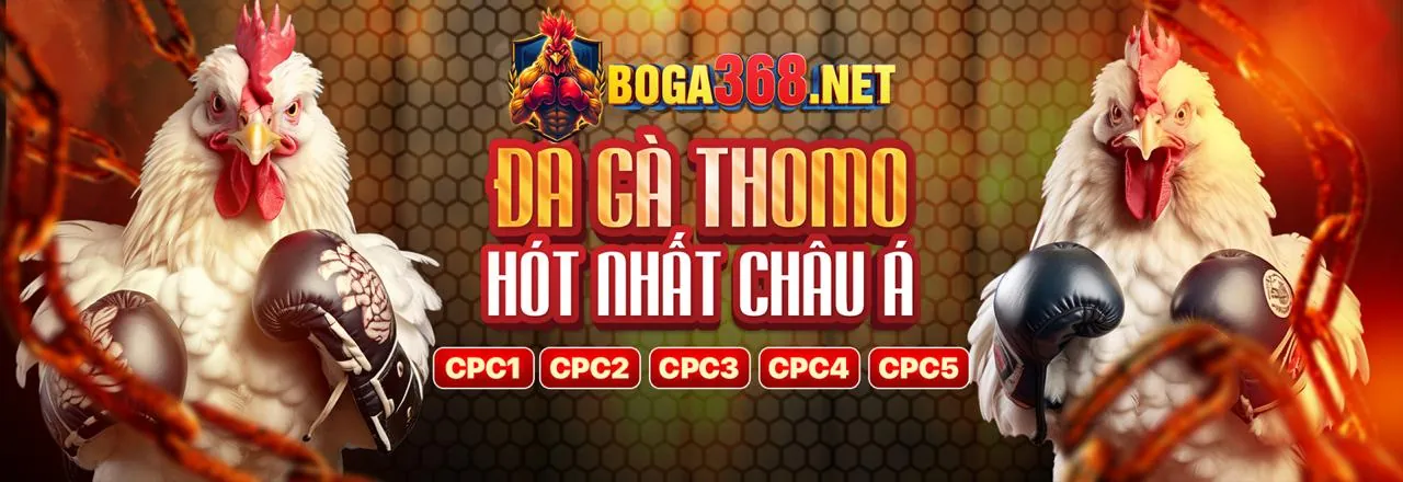 Trải nghiệm Baccarat live casino tại Wi88